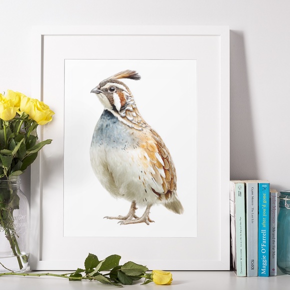 Watercolor Quail Wall Art Print, Unframed - Vibrant Nature-Inspired Home Decor - Picture 6 of 6